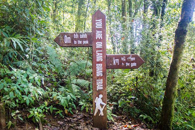 Direction signs for tourists hiking up Langbiang Mountain.