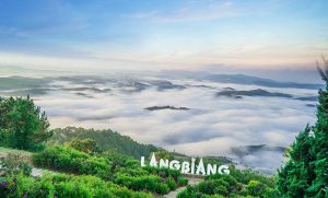 Langbiang Peak is one of the ideal cloud-hunting spots in Dalat.
