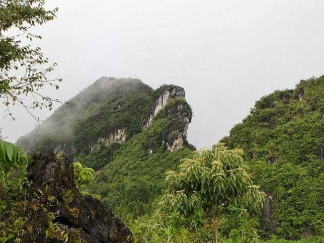 The image of Ham Rong Mountain is closely associated with a captivating and romantic legend