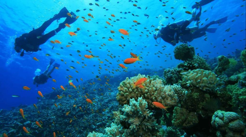 Always check your diving gear, fins, mask, and snorkel before participating in scuba diving in Nha Trang
