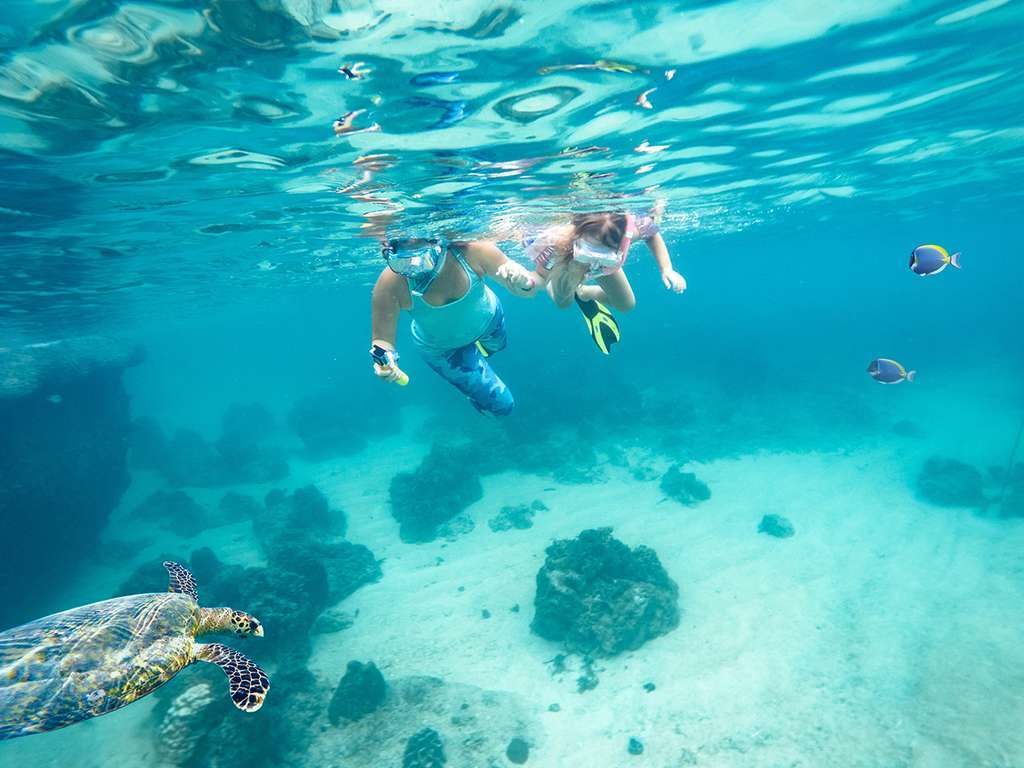 At Hon Mot Island, visitors will have the opportunity to experience the thrilling adventure of scuba diving with oxygen tanks