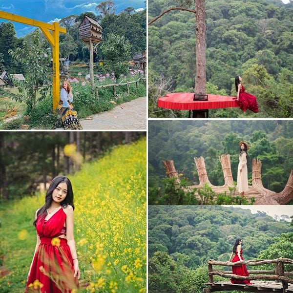 The Mysterious Forest in Hoa Son is a beautiful check-in spot in Da Nang.