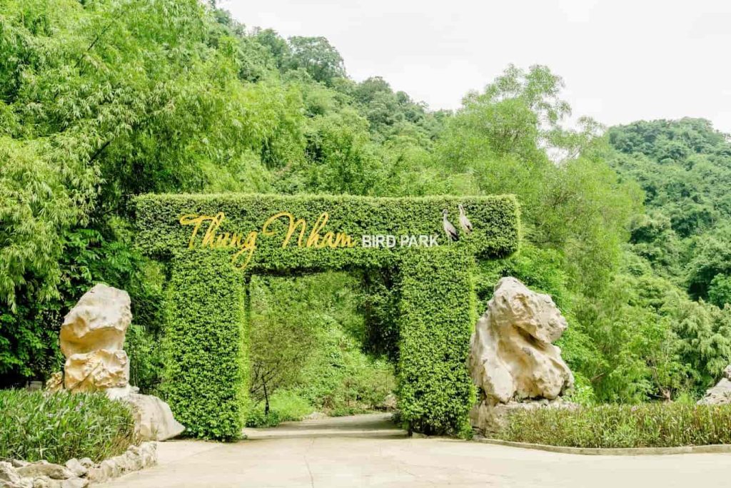 Storks flying over Thung Nham Bird Garden with lush greenery and clear skies.